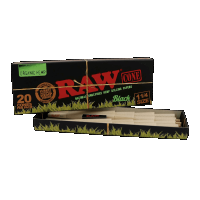 RAW ORG BLK 1 1/4  CONES X 20